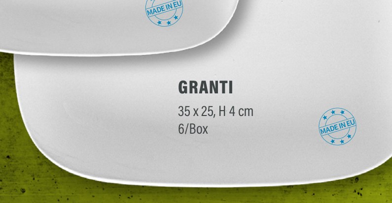Antipasti Platte groß 35 x 24,5, H 4 cm